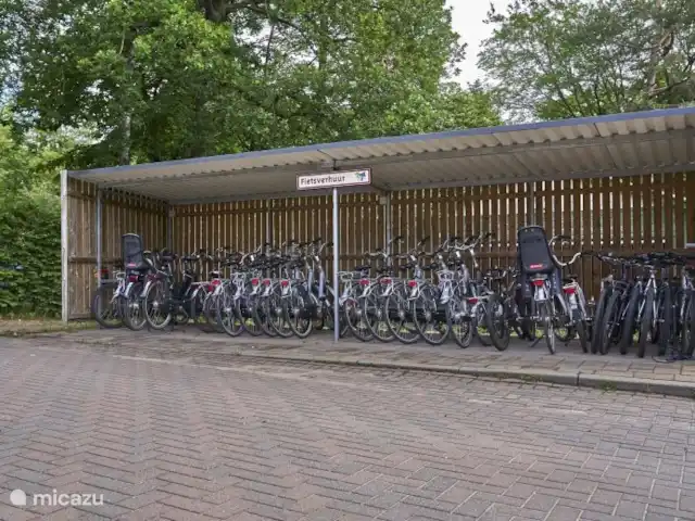Nuestra casa de campo en el Veluwe: Pinecone en Países Bajos, Güeldres, Beekbergen - chalet Alquiler de bicicletas en el parque de vacaciones.