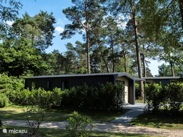 Nuestra casa de campo en el Veluwe: Pinecone en Países Bajos, Güeldres, Beekbergen - chalet Un lugar encantador. Maravillosamente tranquilo.