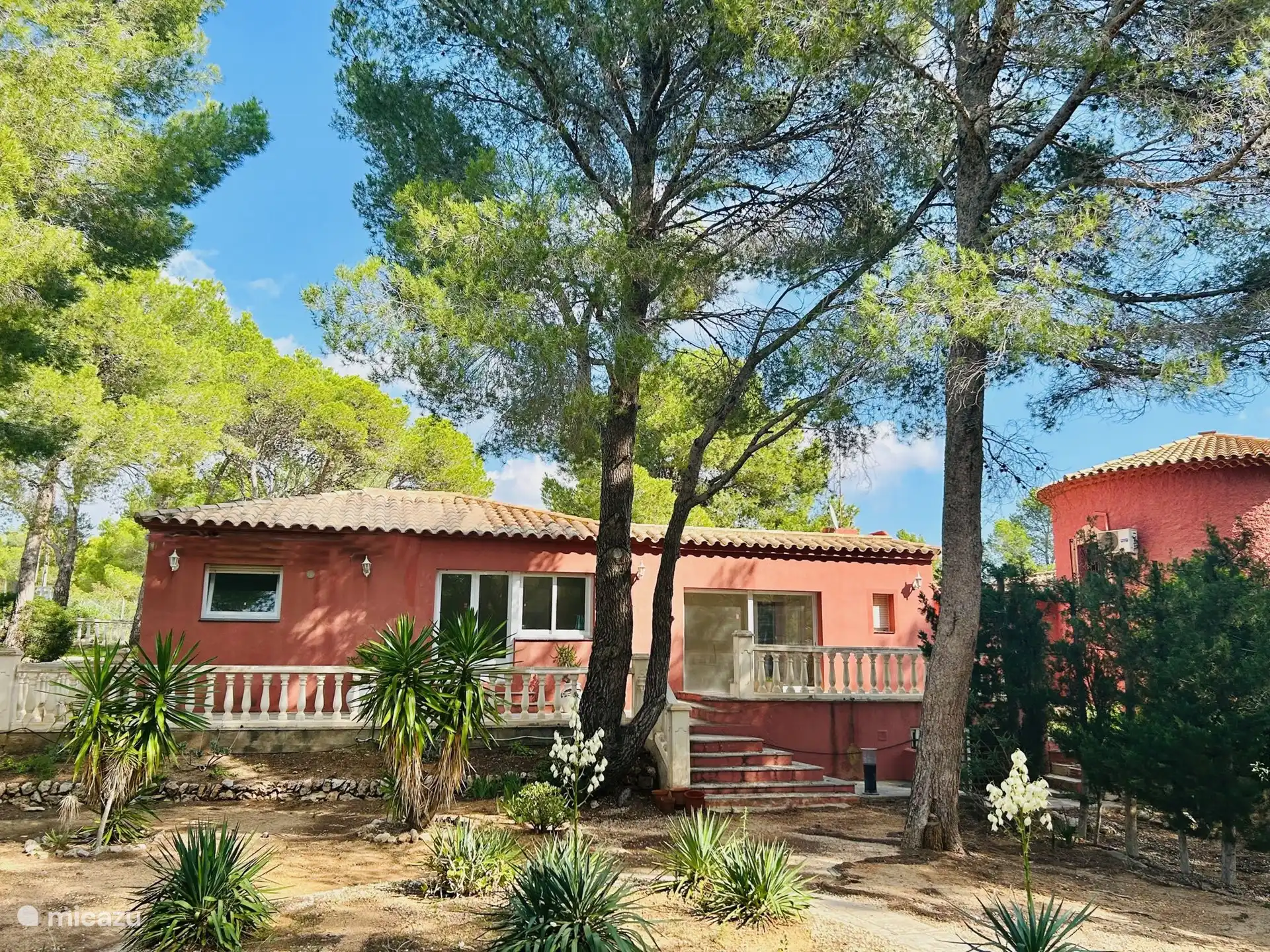 achteraangezicht met het terras
