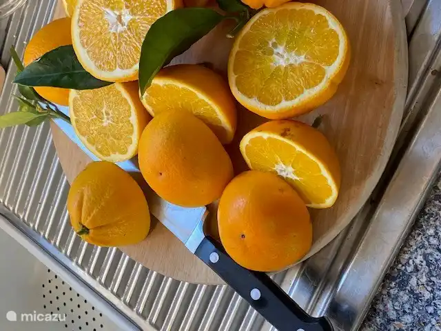 Oranges from your own garden