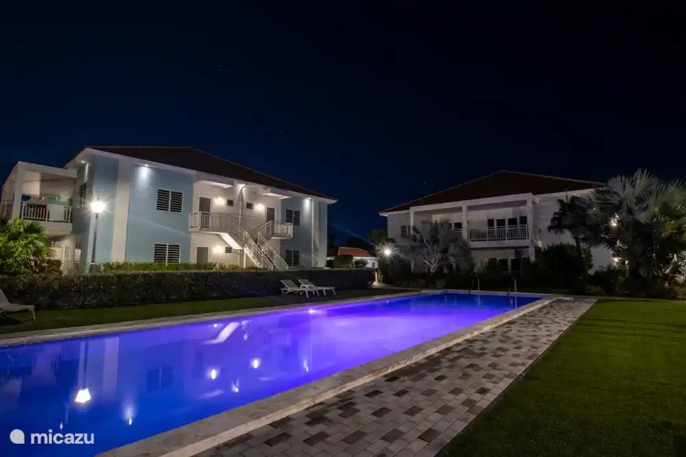 Attractively lit swimming pool