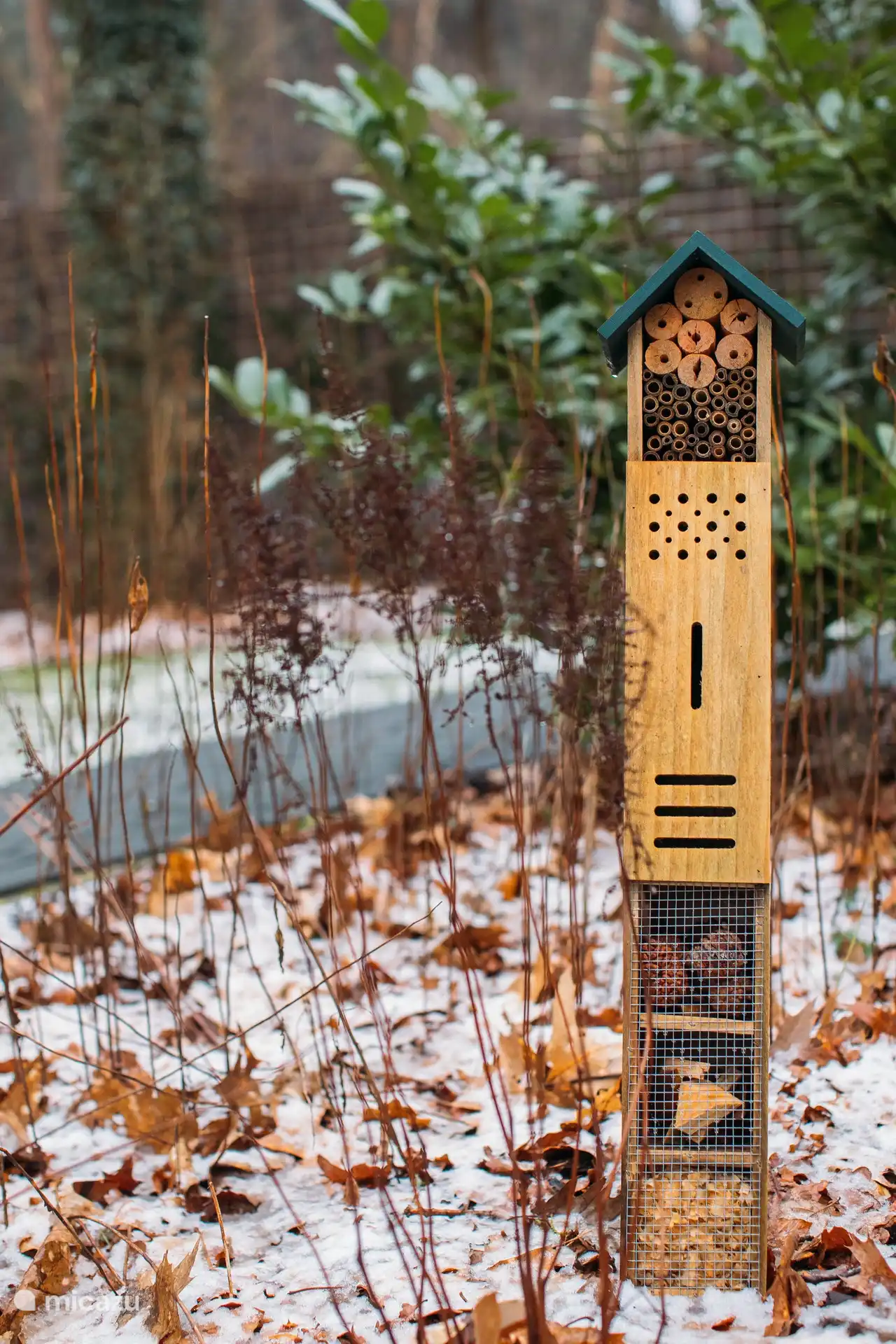 Detalles del jardín que contribuyen a la atmósfera y la experiencia natural.