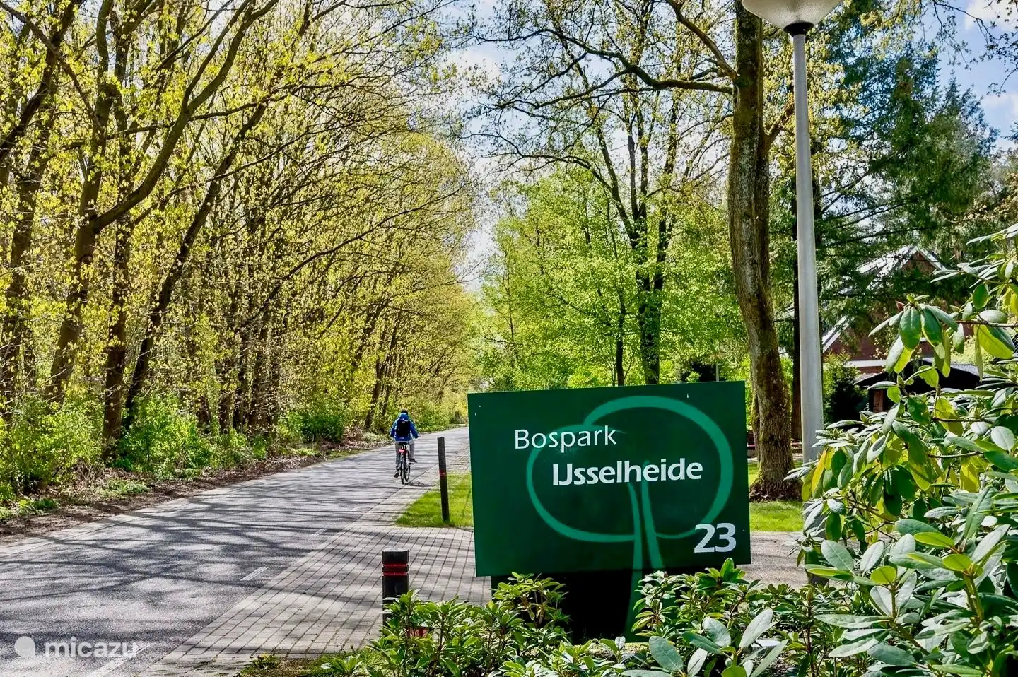 Das Foto zeigt die ruhige Straße am Bospark IJsselheide in Hattemerbroek, in der Nähe von Zwolle. Eine idyllische Lage inmitten der Natur, ideal zum Wandern und Radfahren. Der perfekte Ausgangspunkt für einen erholsamen Aufenthalt mit viel Privatsphäre und doch in der Nähe der Annehmlichkeiten der Stadt.