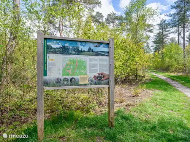 Maison de vacances Maridu Family Wellness | Pays-Bas, Gueldre, Hattemerbroek - chalet La maison de vacances est située à proximité de la Wezepse Heide, à quelques pas de la maison de vacances. Parfait pour une promenade tranquille ou pour laisser votre ami à quatre pattes courir et jouer dans la vaste nature. Un endroit idéal pour profiter de l’air frais et de la tranquillité.