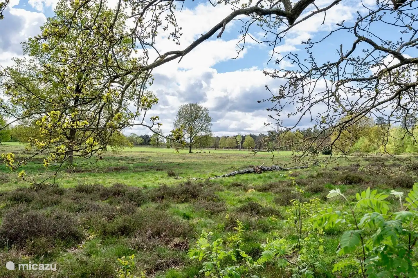 Zu Fuß erreichen Sie die Wezepse Heide, ein weitläufiges Naturschutzgebiet, in dem Sie Ruhe und Frieden genießen können. Perfekt für einen gemütlichen Spaziergang oder um Ihren Vierbeiner frei laufen und spielen zu lassen. Ein wunderschöner Ort, um sich in der Natur vollständig aufzuladen.
