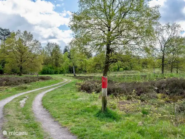 Maison de vacances Maridu Family Wellness | Pays-Bas, Gueldre, Hattemerbroek - chalet La maison de vacances se trouve à quelques pas de la Wezepse Heide, où des sentiers de randonnée bien entretenus vous emmènent à travers la vaste nature. Un endroit idéal pour une promenade tranquille ou pour laisser votre compagnon à quatre pattes courir et profiter de l’air frais et de la tranquillité.