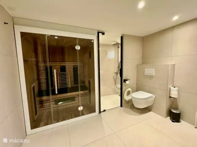 Maison de vacances Maridu Family Wellness | Pays-Bas, Gueldre, Hattemerbroek - chalet La salle de bains est spacieuse et meublée de manière moderne, avec un sauna luxueux avec thérapie par infrarouge et couleur, des toilettes et un coin douche spacieux. La douche dispose d’une pomme de douche standard et d’une douche à effet pluie, offrant une expérience rafraîchissante et relaxante.