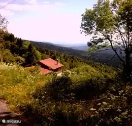 Le Grand Duc in Frankreich, Haute-Loire, Laval-sur-Doulon - Ferienhaus