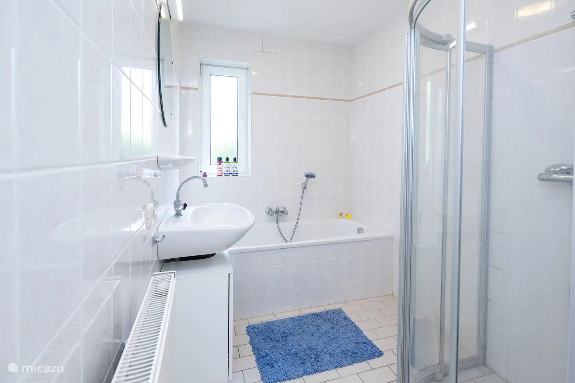 salle de bain au rez-de-chaussée