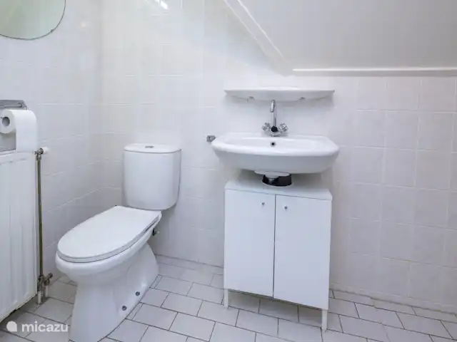 Casa de campo para pescar y montar en bicicleta 5* en Países Bajos, Drente, Westerbork - casa vacacional Baño en la planta superior