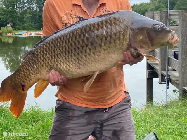 Casa de campo para pescar y montar en bicicleta 5* en Países Bajos, Drente, Westerbork - casa vacacional Esta es una captura personal de 35 libras