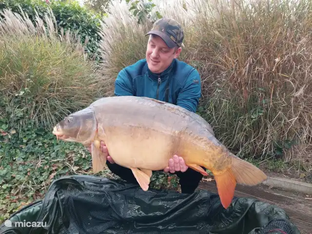 Casa de campo para pescar y montar en bicicleta 5* en Países Bajos, Drente, Westerbork - casa vacacional imagen de la página de FB timmerholt