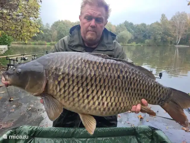 Casa de campo para pescar y montar en bicicleta 5* en Países Bajos, Drente, Westerbork - casa vacacional imagen de la página de FB timmerholt