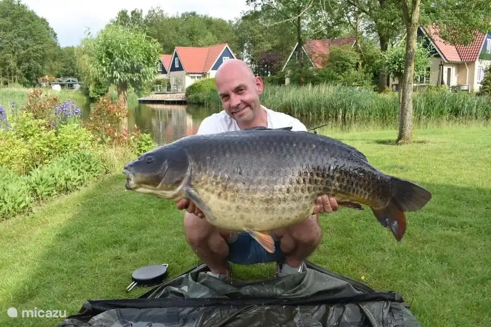 photo de la page FB timmerholt