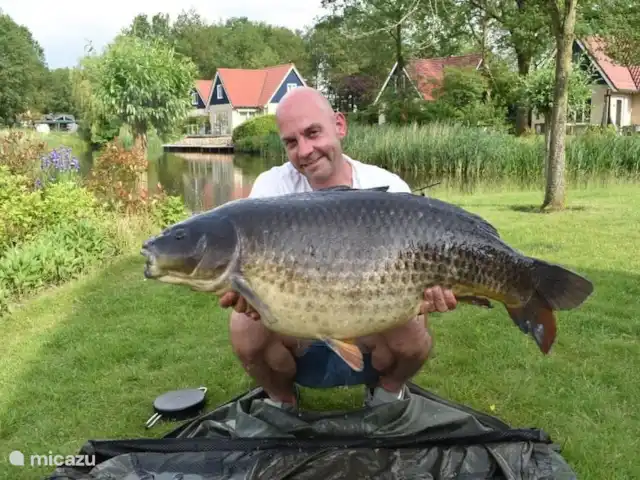 Casa de campo para pescar y montar en bicicleta 5* en Países Bajos, Drente, Westerbork - casa vacacional imagen de la página de FB timmerholt