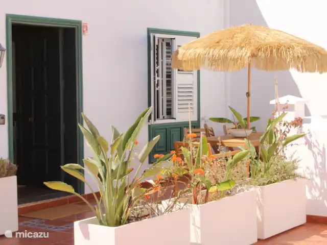 Casa San Telmo Arriba | Espagne, Tenerife, Arico - bungalow Casa San Telmo Arriba | Espagne, Tenerife, Arico - bungalow