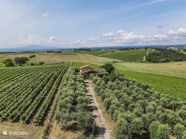 Maison avec piscine privée près d’Orvieto | Italie, Ombrie, Montecchio - villa Maison avec piscine privée près d’Orvieto