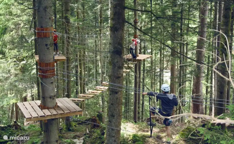 Quoi de plus amusant que de grimper à travers les arbres et de se balancer à travers les arbres comme un singe. En champéry, c’est vraiment possible !