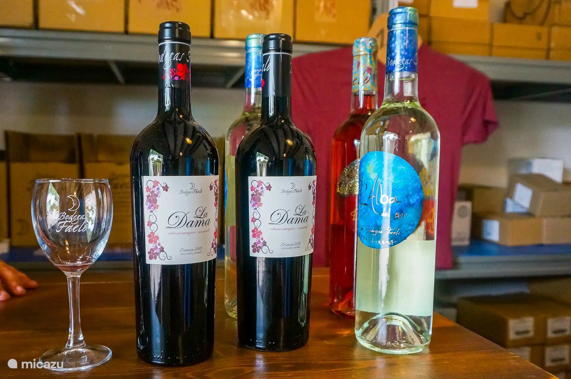 Fermes viticoles dans la région où vous pouvez réserver une dégustation de vins locaux. 