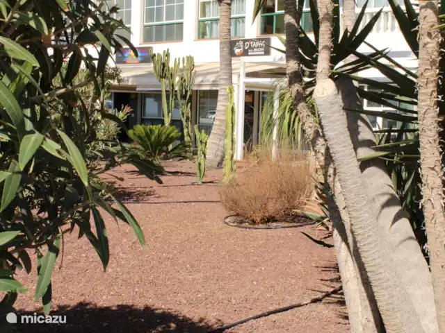 Casa San Telmo Abajo en España, Tenerife, Abades - apartamento restaurantes