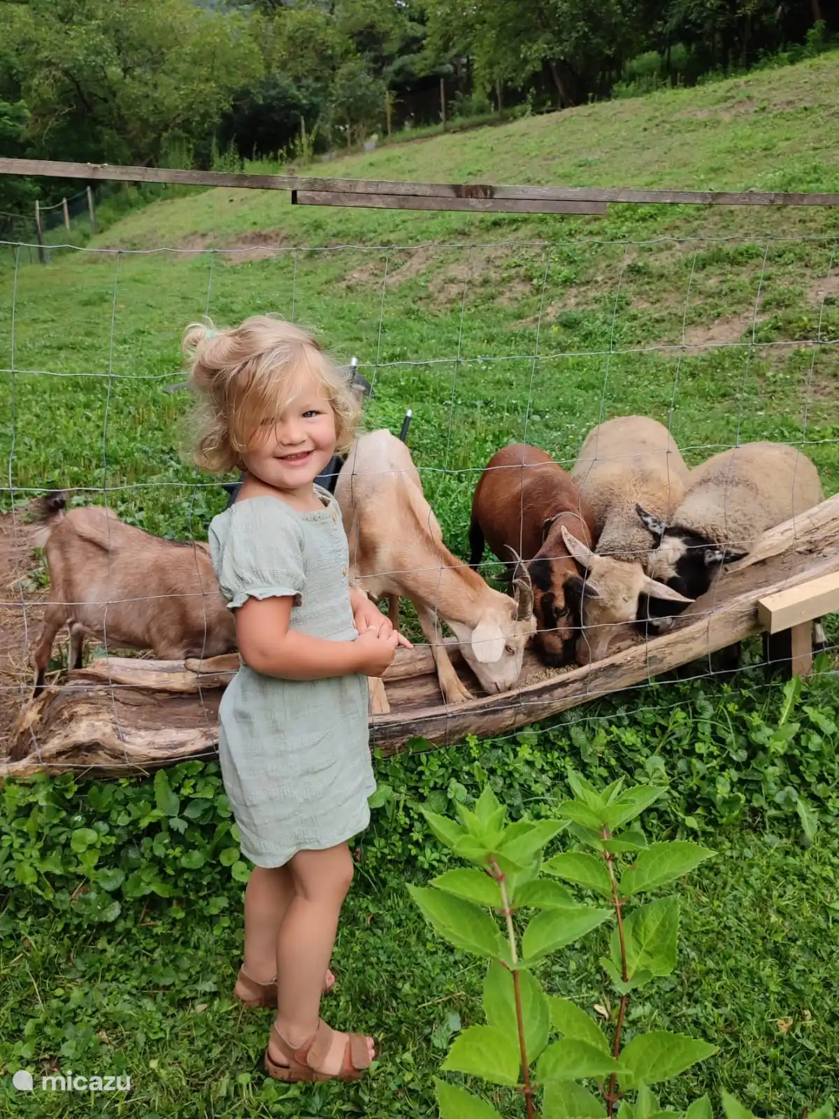 Die Atmosphäre auf unserem Bauernhof.