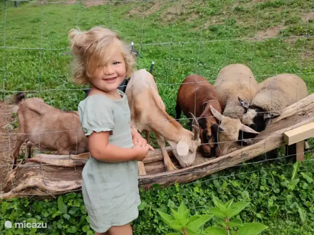 vakantiehuis huren in Slowakije, Banská Bystrica, Modrý Kamen – Vakantiehuis Krasný Svet De sfeer op de boerderij