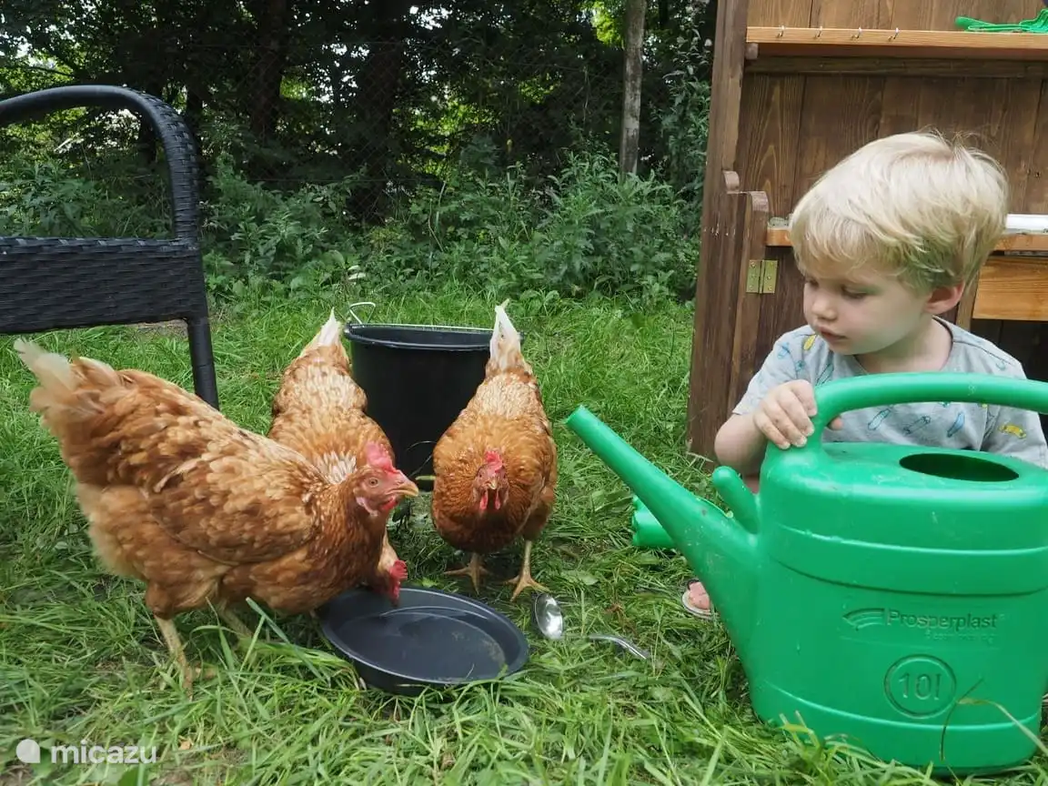 Die Atmosphäre auf dem Bauernhof