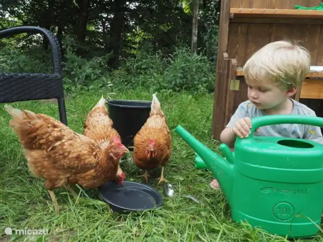 vakantiehuis huren in Slowakije, Banská Bystrica, Modrý Kamen – Vakantiehuis Krasný Svet De sfeer op de boerderij
