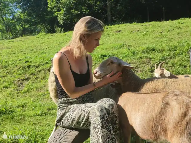 vakantiehuis huren in Slowakije, Banská Bystrica, Modrý Kamen – Vakantiehuis Krasný Svet De sfeer op de boerderij