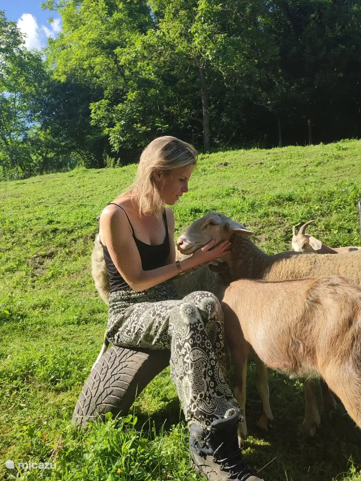 Die Atmosphäre auf dem Bauernhof.