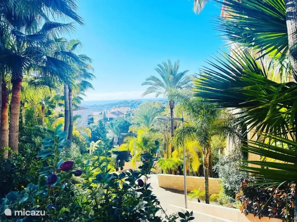 De beaux jardins tropicaux dès l’entrée