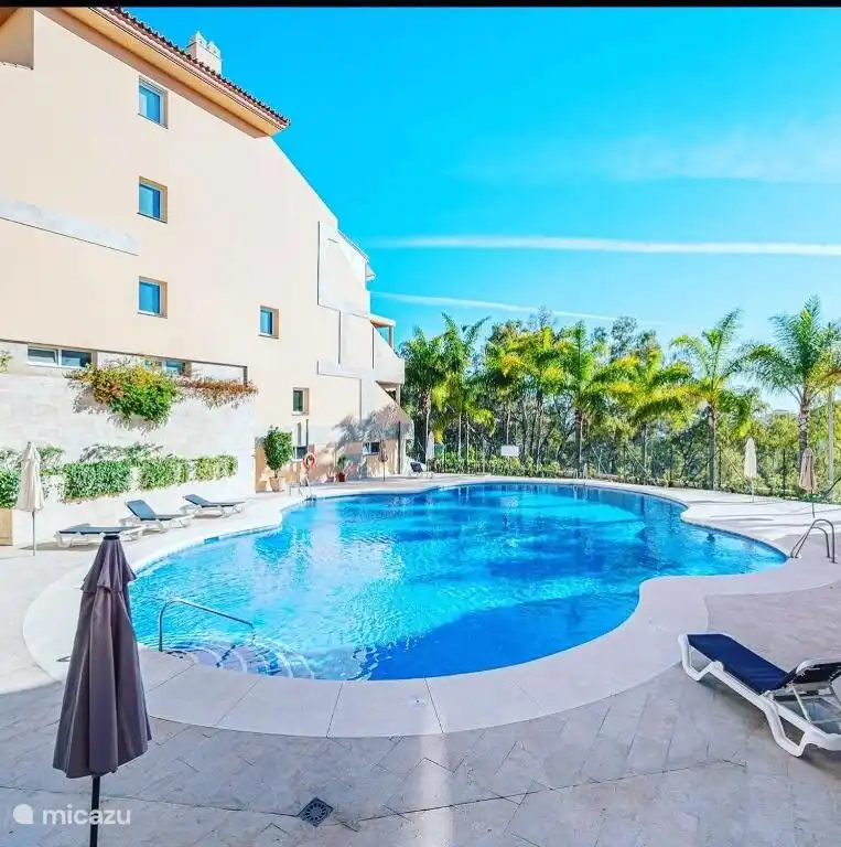 Grande piscine avec chaises longues gratuites, parasols et salle de douche et toilettes séparées
