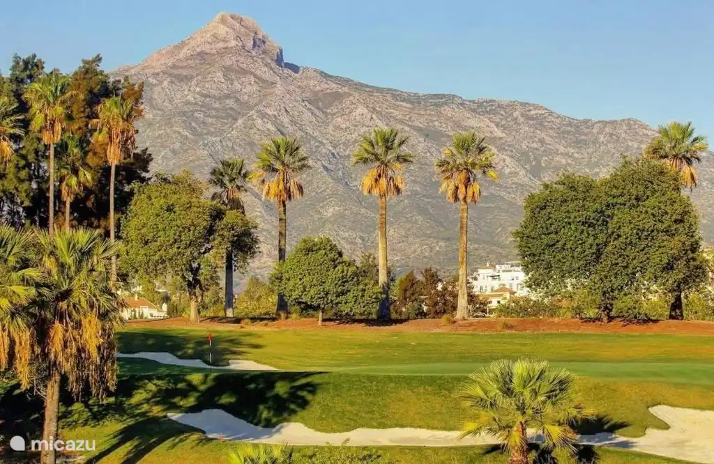 Vista Real est situé juste à côté de 4 terrains de golf bien connus. Il y en a même 1 à distance de marche