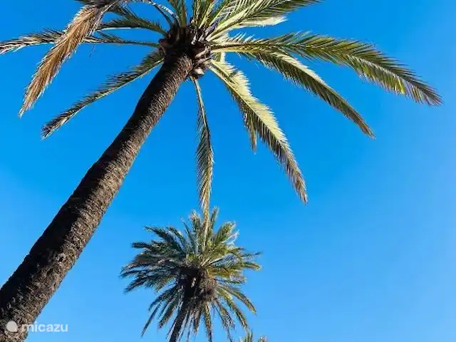 Location de Vacances Espagne, Costa del Sol, Marbella, penthouse - VistaReal Marbella