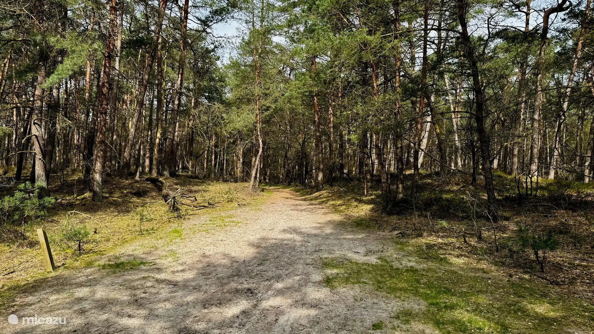 Situé au milieu de la forêt pour de belles balades
