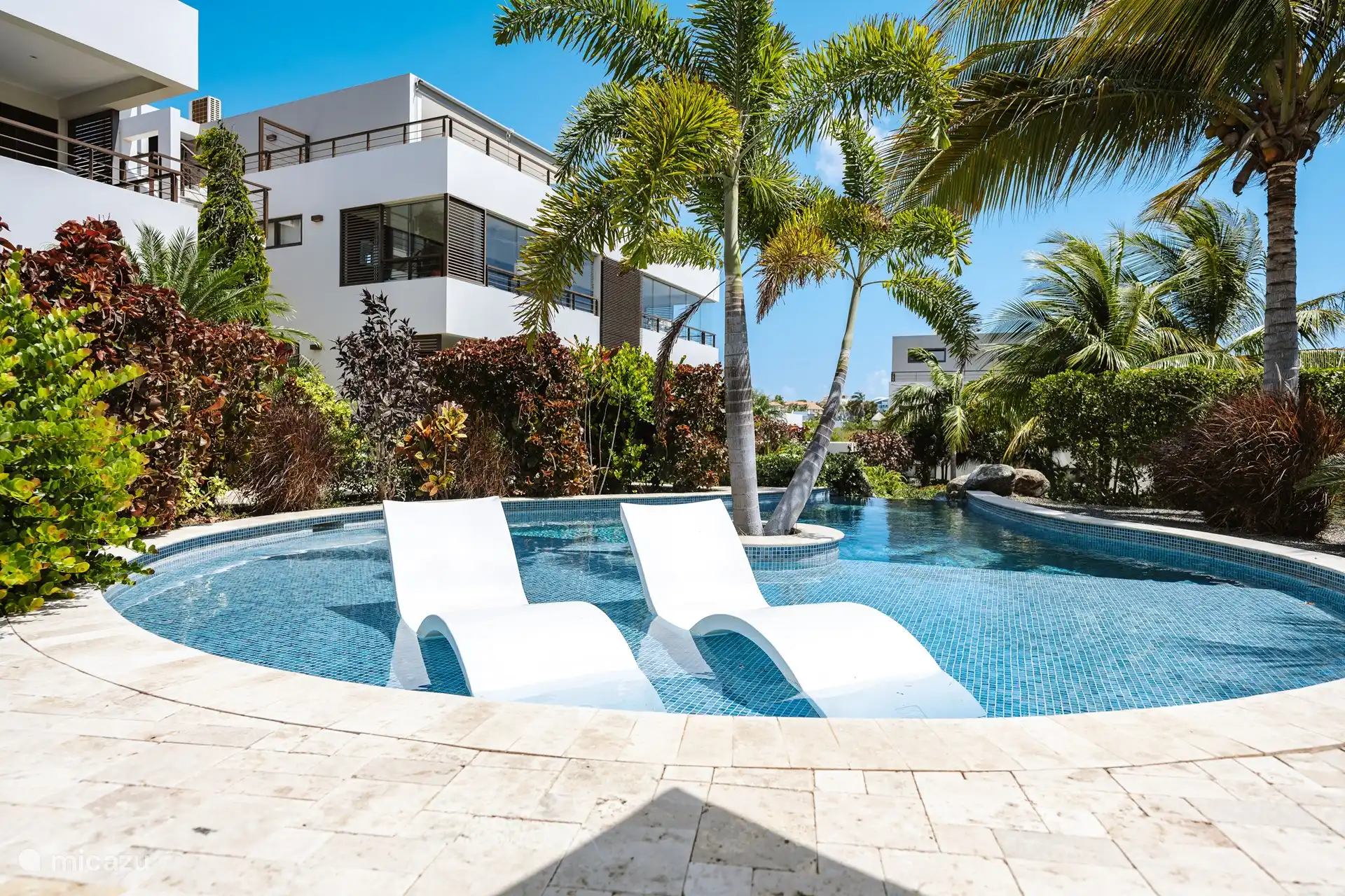 One of the 2 circular pools. This pool has a shallow end that then transitions into a deep end. 