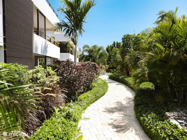 Location de Vacances Curaçao, Curaçao-Centre, Willemstad, appartement - Appartement Mariposa - LUX Une petite partie des jardins tropicaux. Vous pouvez facilement vous rendre à la piscine à pied par cet itinéraire.