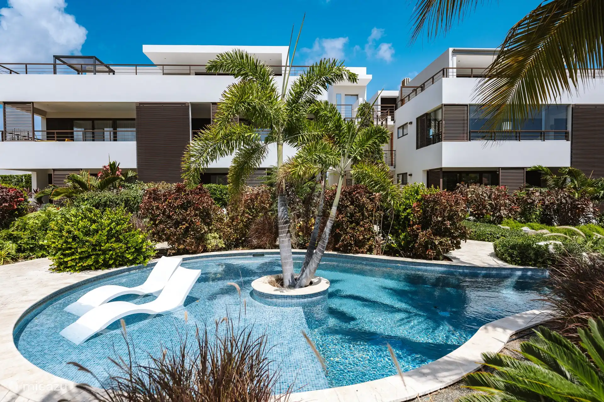 One of the 2 circular pools. This pool has a shallow end that then transitions into a deep end. 