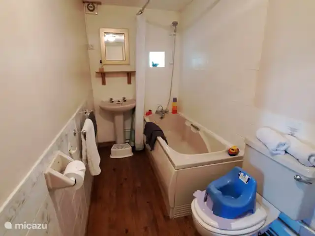 Location de Vacances France, Charente-Maritime, Saint-Pierre-de-Juillers, gîte / cottage - Gîte 'Grenier' - La Grange du Moulin Salle de bain avec douche sur baignoire