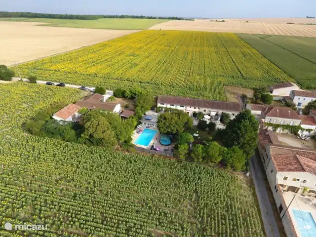 Location de Vacances France, Charente-Maritime, Saint-Pierre-de-Juillers, gîte / cottage - Gîte 'Grenier' - La Grange du Moulin la vraie France, évadez-vous