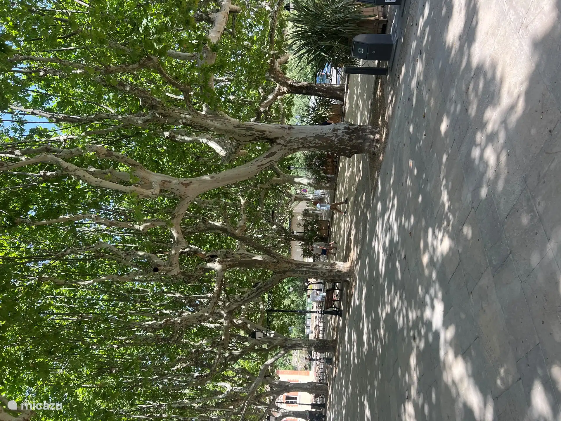 Boule spelers, iedereen is welkom om te spelen