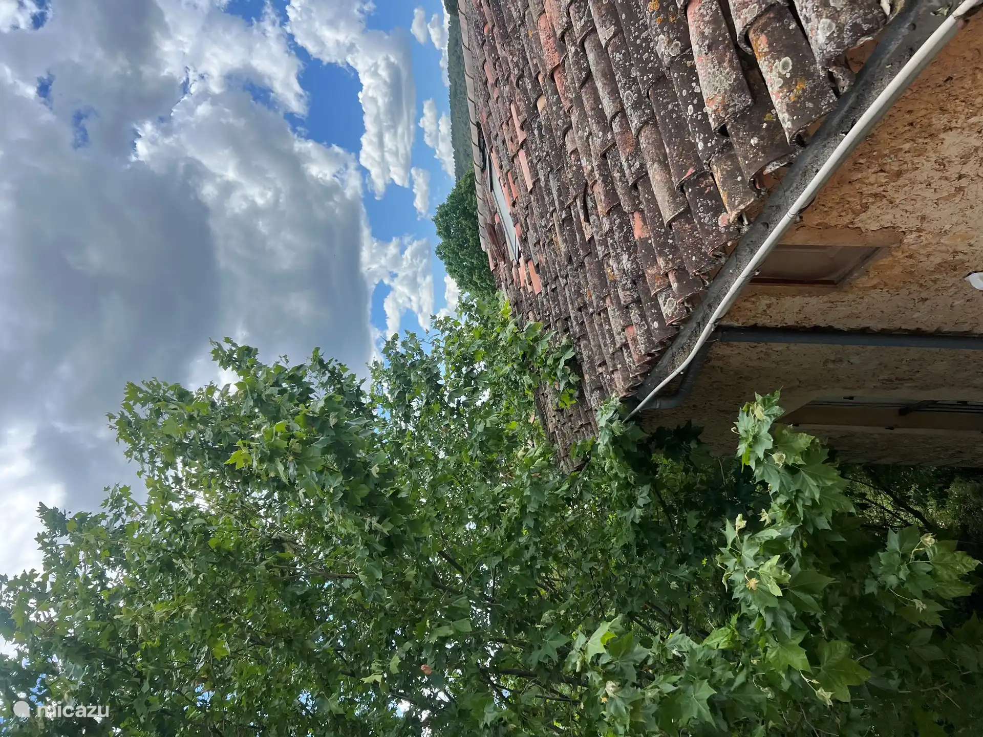 Uitzicht vanuit &#233;&#233;n raam