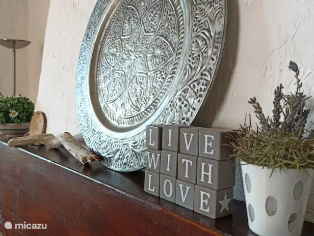 Location de Vacances France, Alpes-de-Haute-Provence, Sainte-Croix-Du-Verdon, appartement - Cosy Duplex Sainte Croix Du Verdon vivant