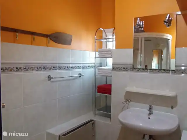 Location de Vacances France, Alpes-de-Haute-Provence, Sainte-Croix-Du-Verdon, appartement - Cosy Duplex Sainte Croix Du Verdon Salle de bain : cabine de douche et WC