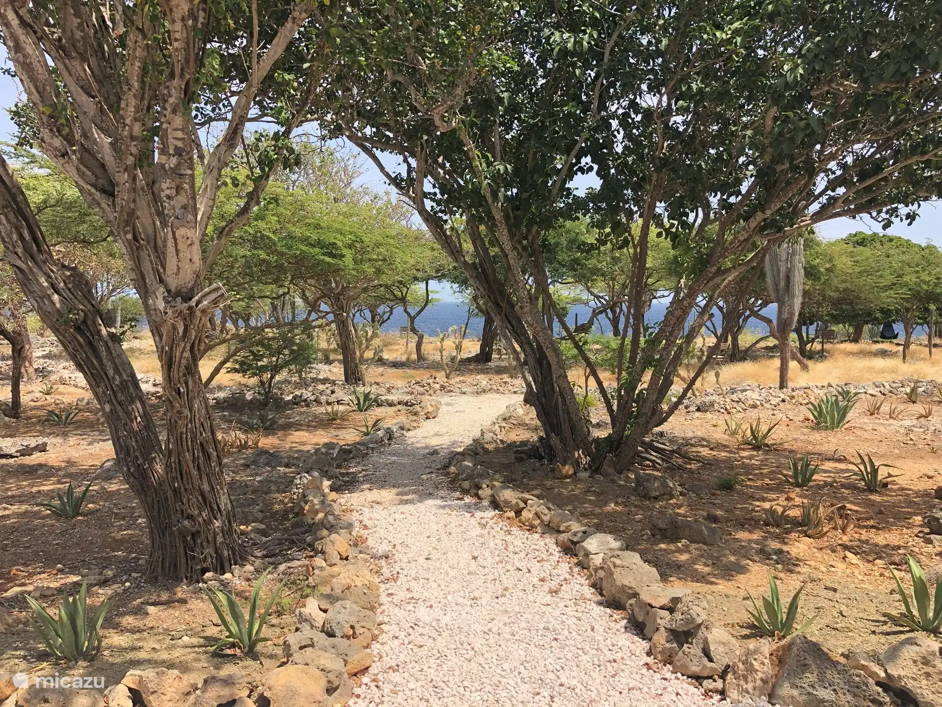 Uitzicht vanaf de porch