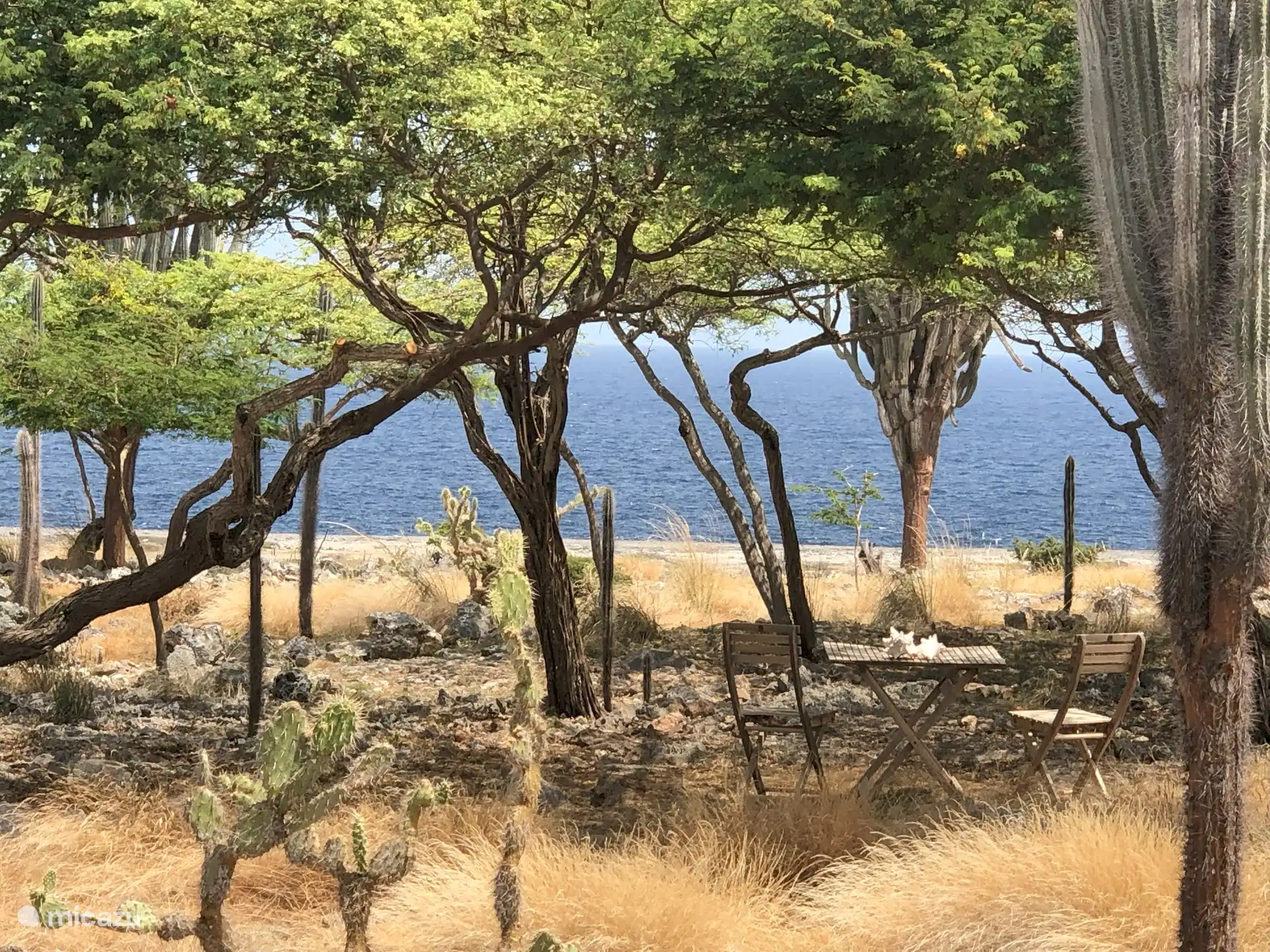 uitzicht vanaf de porch