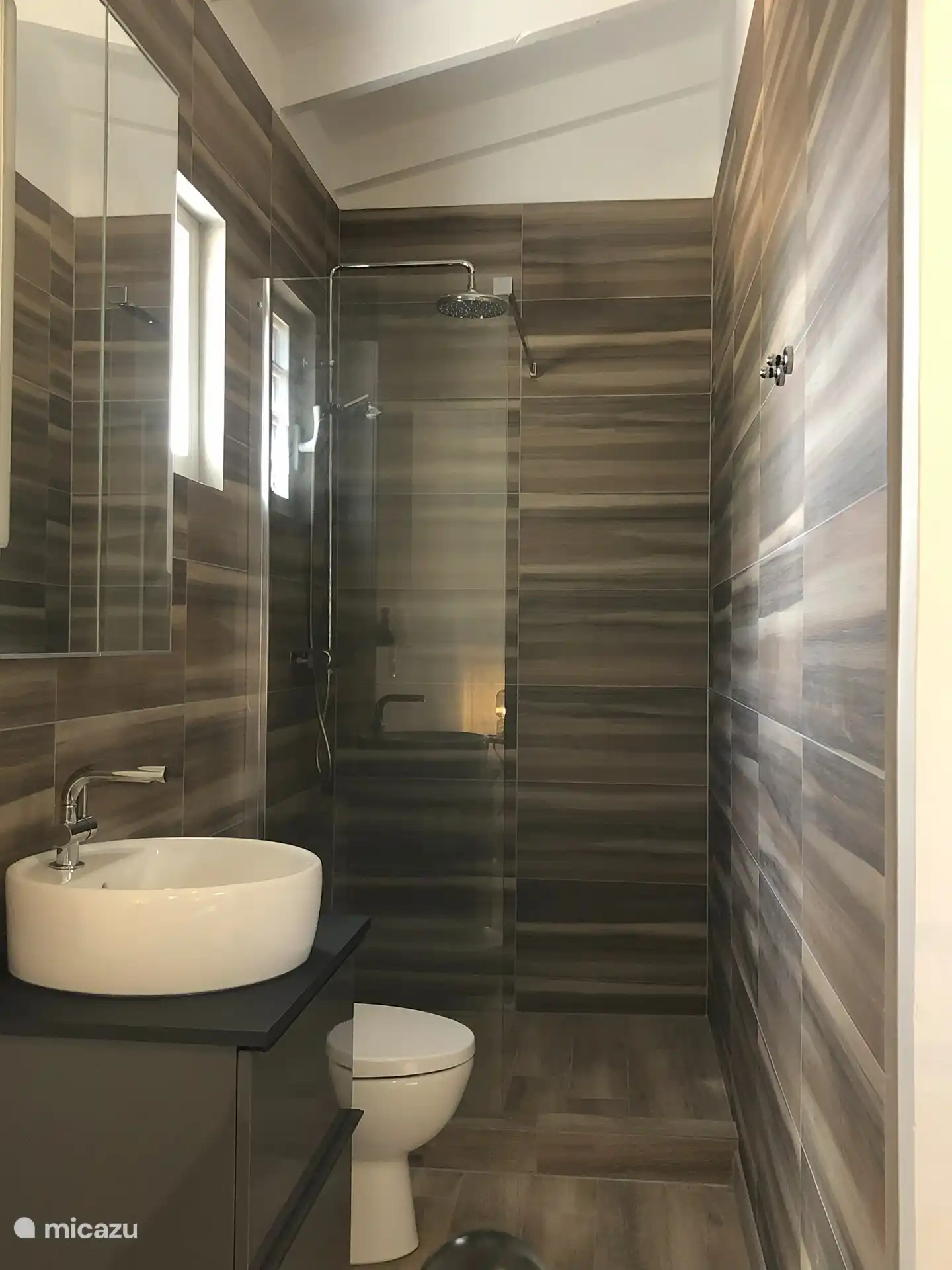 moderne badkamer met douche en regendouche, toilet en wc