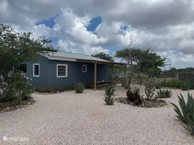 Location de Vacances Bonaire, Bonaire, Kralendijk, maison de vacances - Kas Merlot Extérieur de la rue