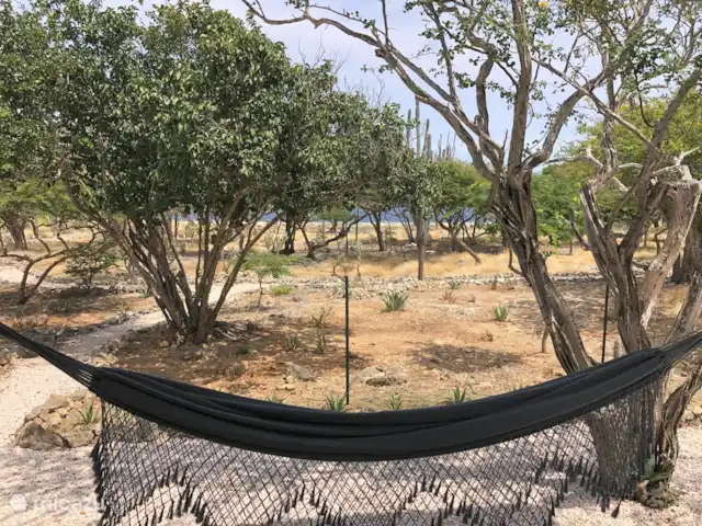Location de Vacances Bonaire, Bonaire, Kralendijk, maison de vacances - Kas Merlot Zzzzz