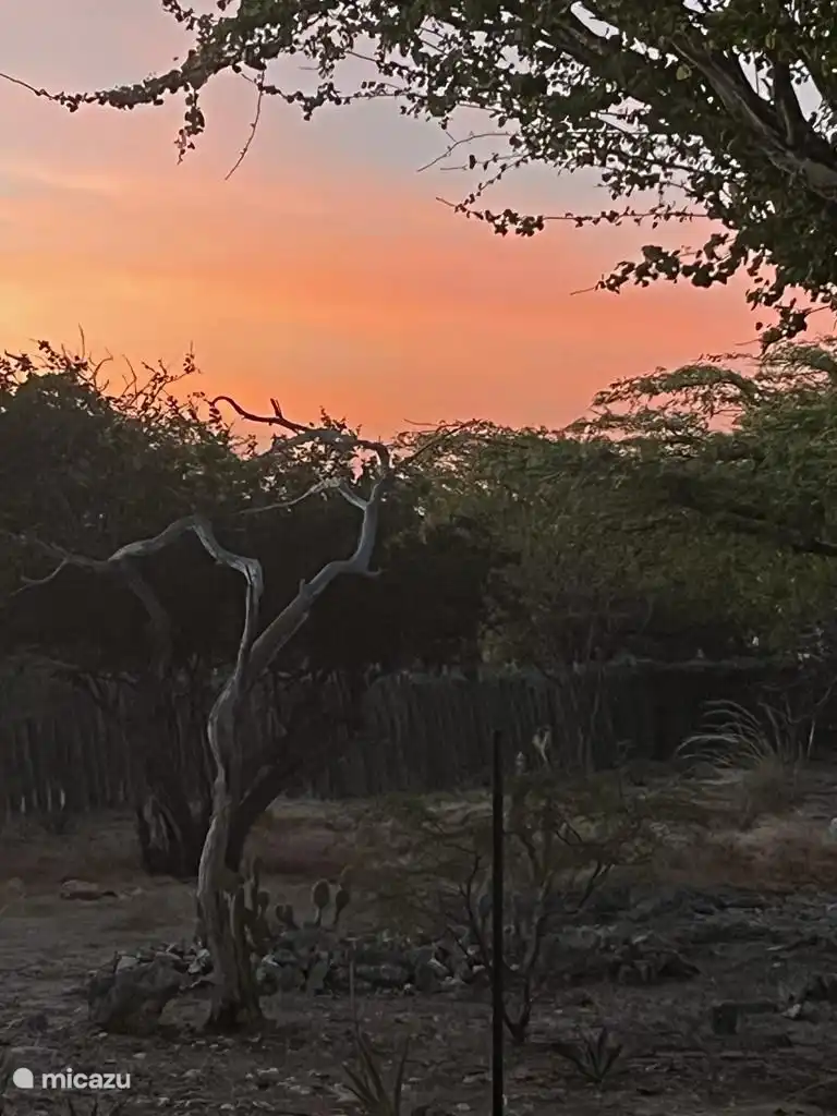 fantastisch sunsets vanaf de porch aan het einde van de dag